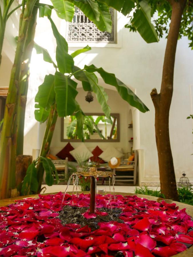 Riad Dar Aman Marrakesh Ngoại thất bức ảnh